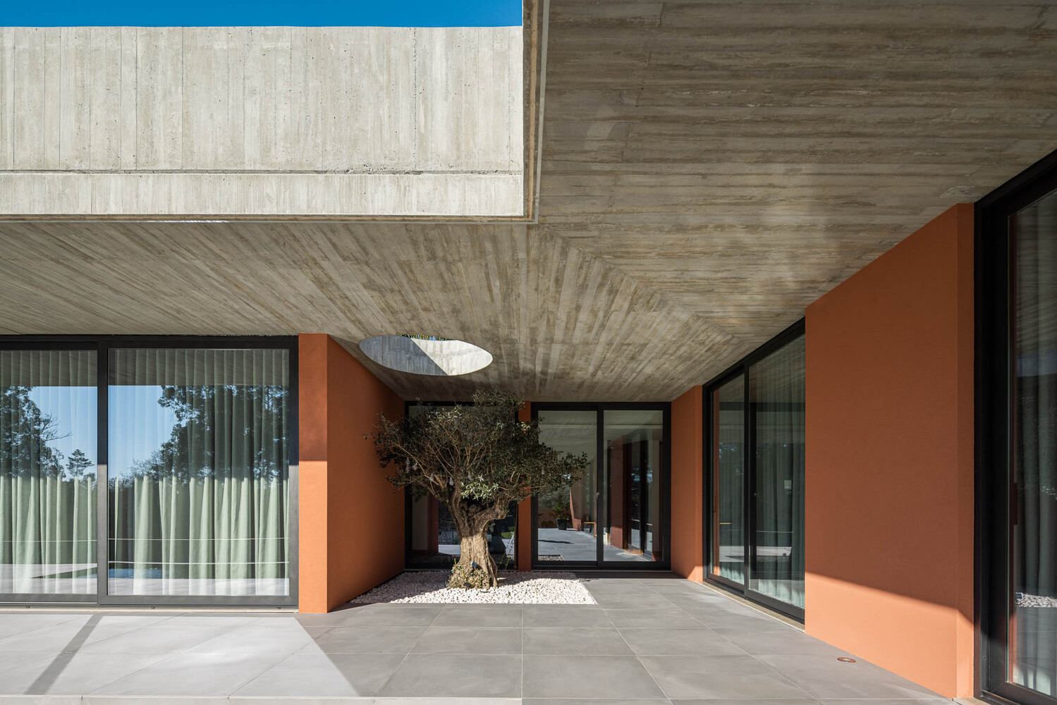 Interior courtyard with circular oculus above a planted olive tree in white gravel under board-formed concrete