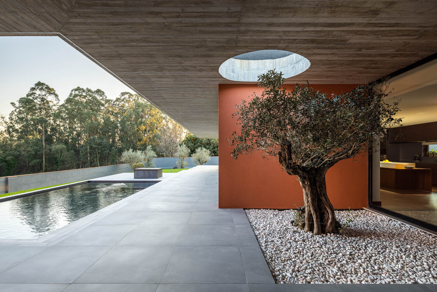 Covered terrace with olive tree, circular skylight, and reflecting pool overlooking wooded hillside at dusk