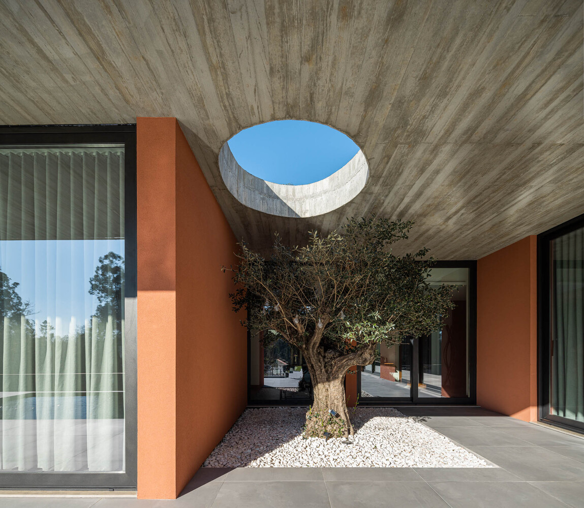 Upward view of circular oculus in board-formed concrete ceiling above courtyard olive tree in gravel bed