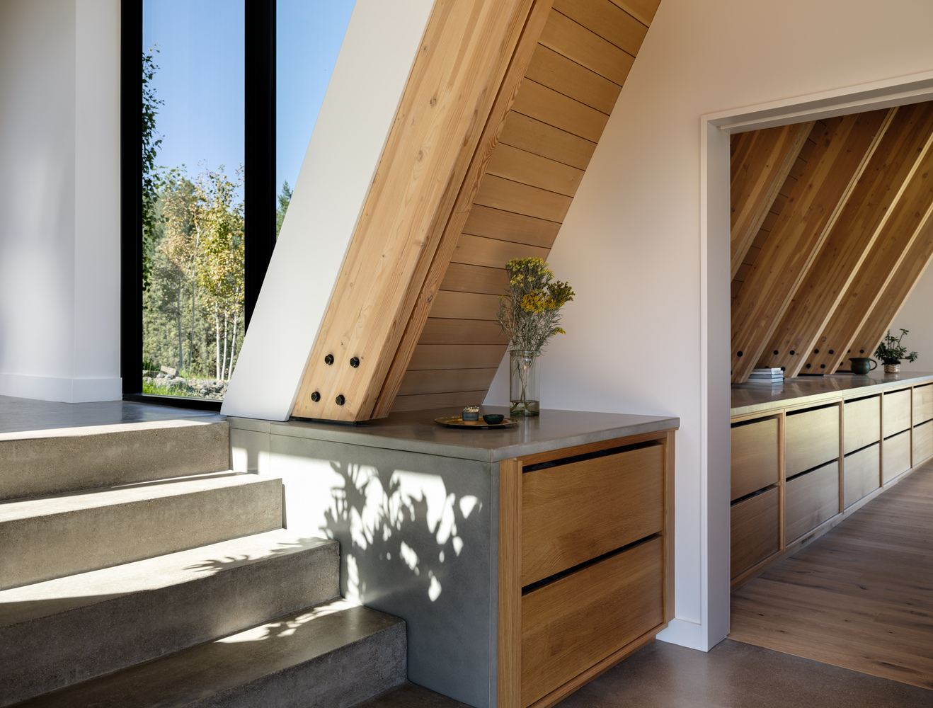 Concrete staircase alongside angled timber structure with dappled sunlight filtering through adjacent glazing