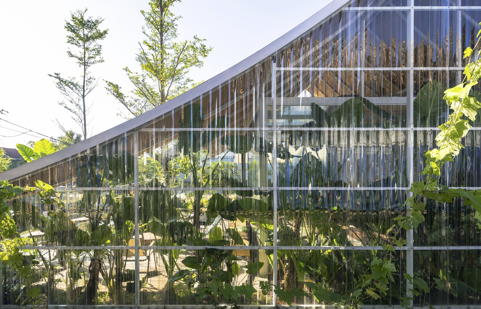 Translucent corrugated facade with white steel frame enclosing bamboo and tropical plantings