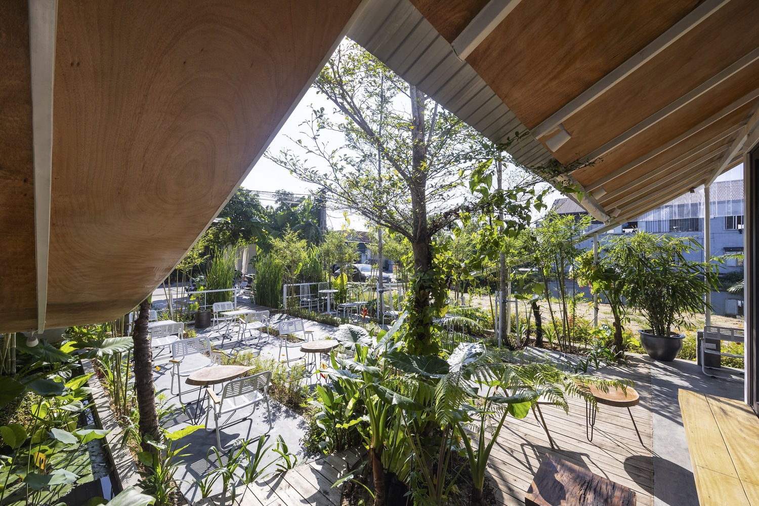 Covered terrace with plywood ceiling panels overlooking seating area among potted palms and grasses