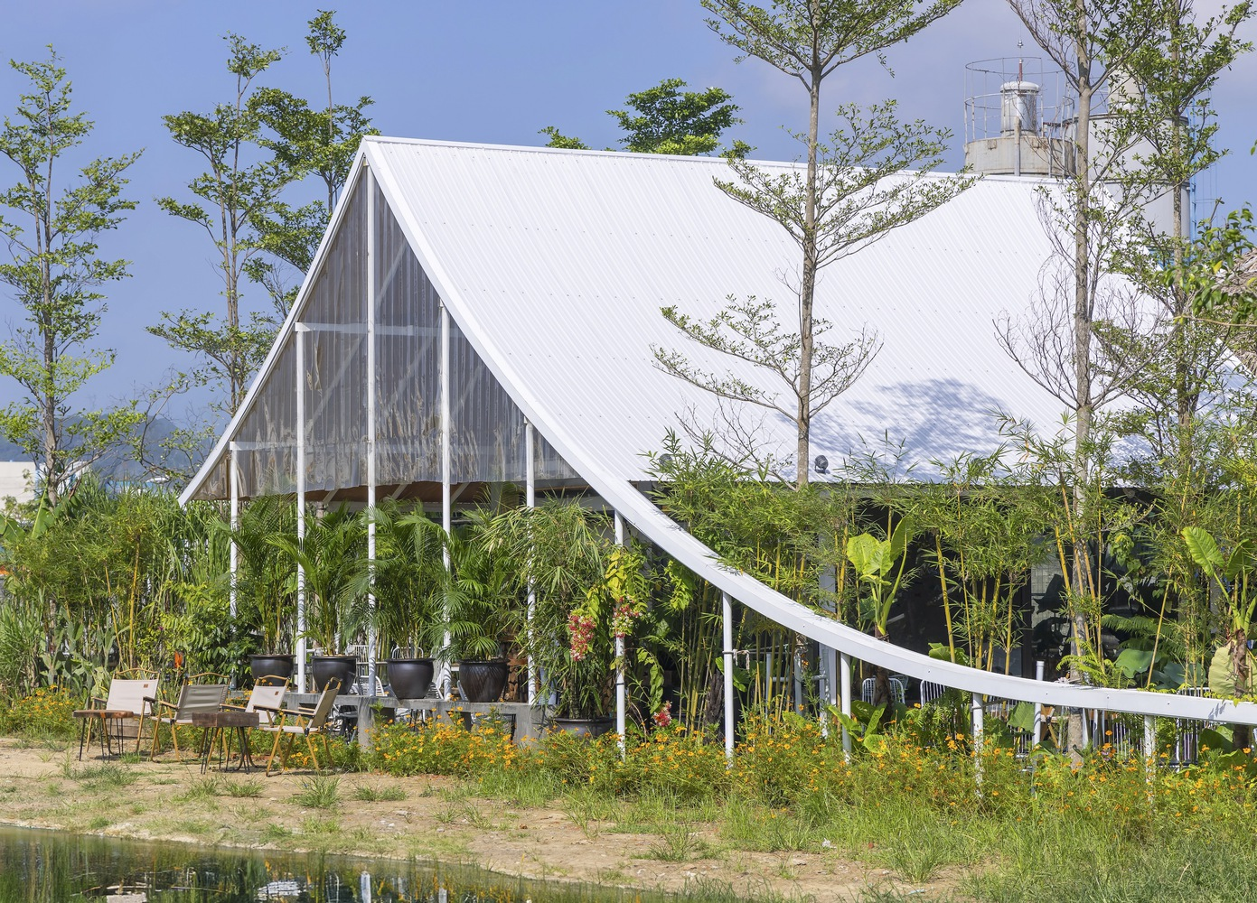 Gabled structure with white metal roof emerging from bamboo grove beside a reflecting pond