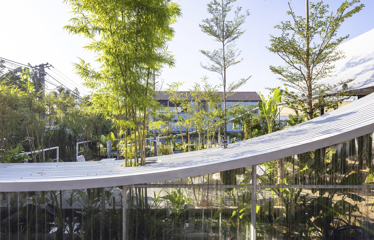 Corrugated metal walkway threading through bamboo and tropical plantings under afternoon light