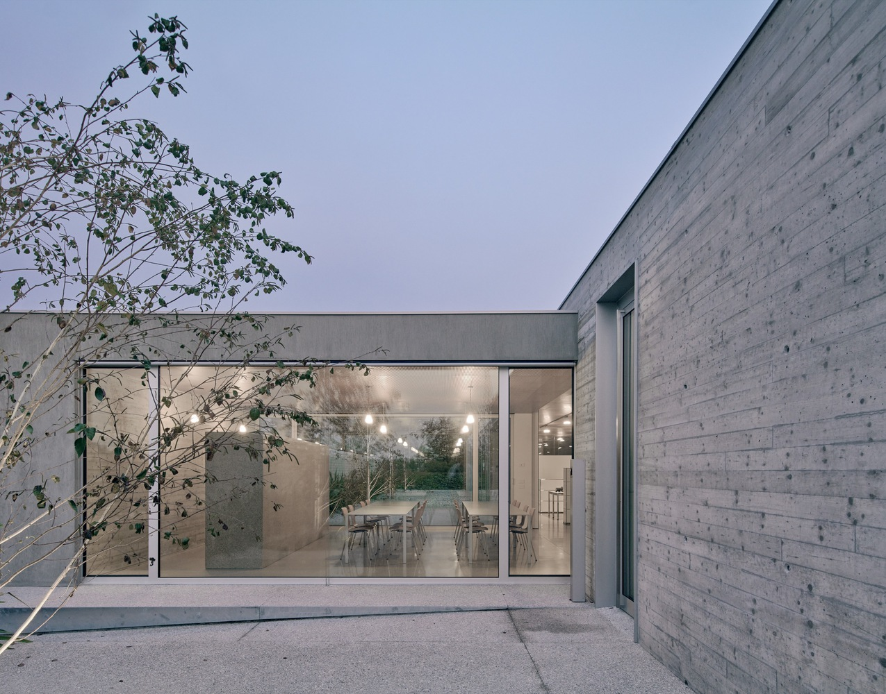 Glass-enclosed dining room viewed from courtyard with interior lighting at dusk and planted birch tree