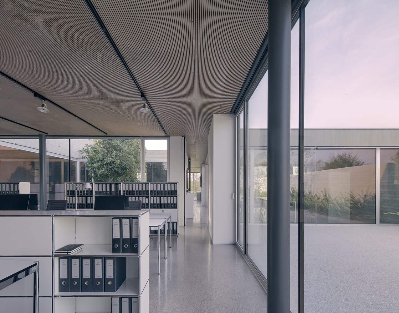 Office workstations with binder shelves beneath grooved timber ceiling alongside glazed courtyard wall
