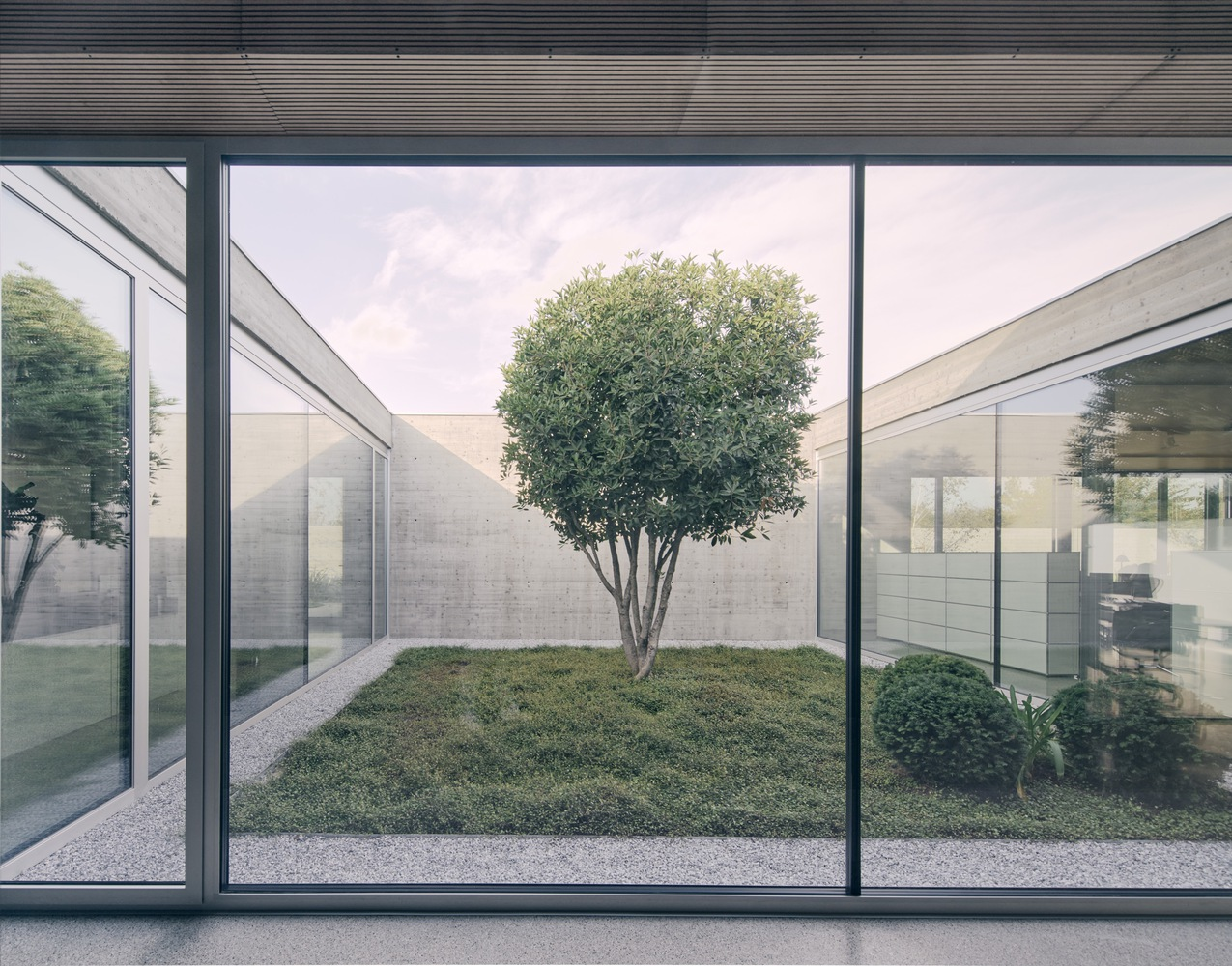 View through floor-to-ceiling glass walls into an interior courtyard with a single tree and gravel ground cover