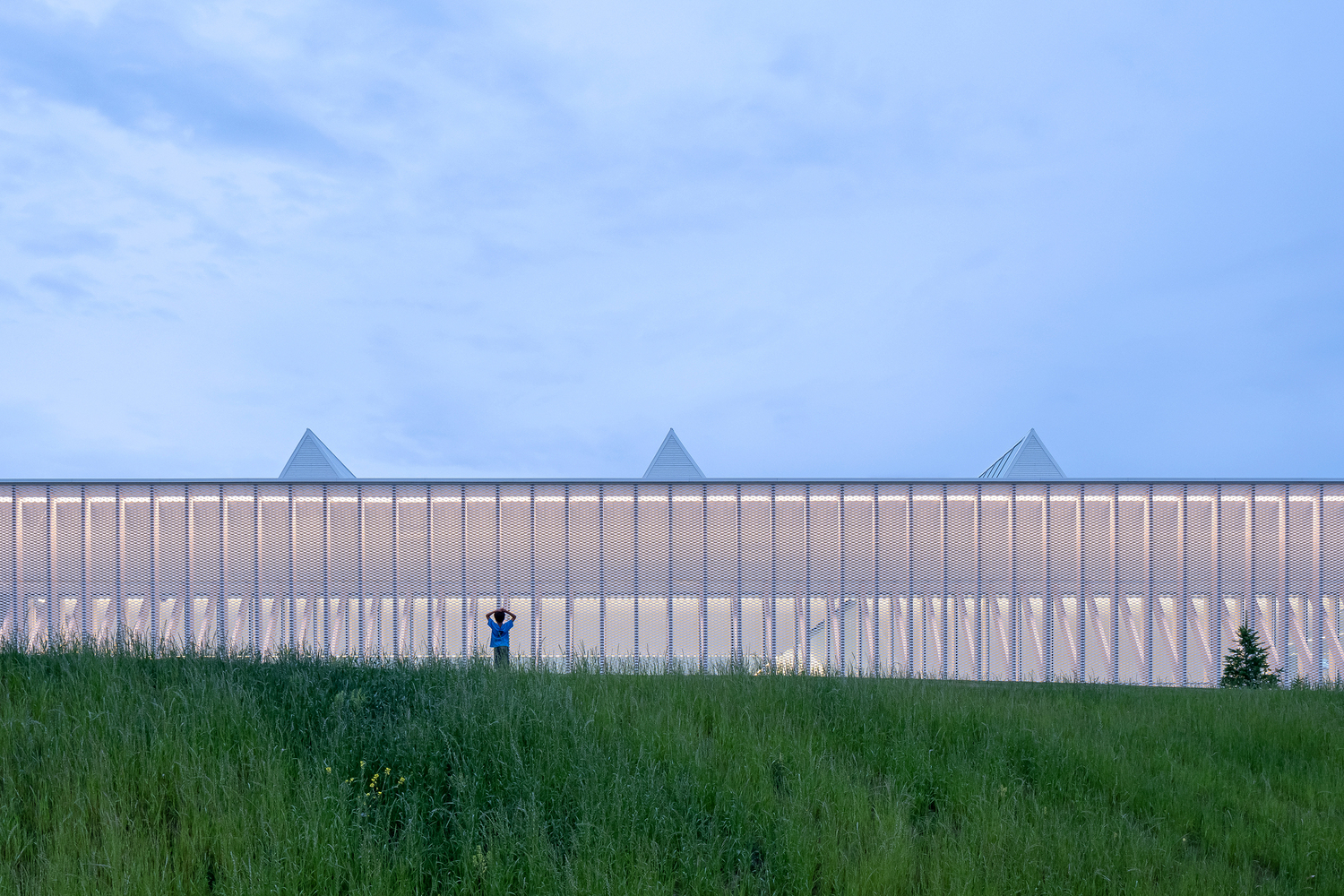 Perforated metal facade with triangular roofline and figure in tall grass at dusk