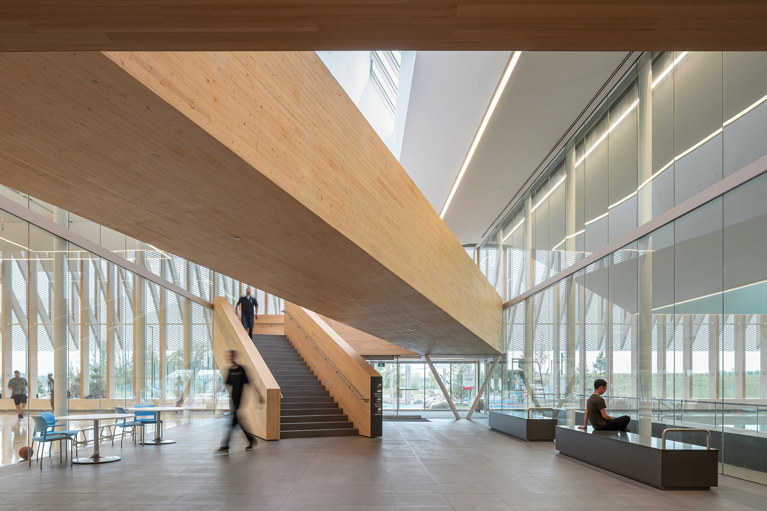 Double-height lobby with timber beam staircase crossing glazed walls and skylight above