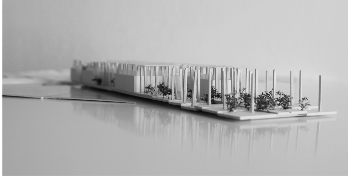 Linear Design and Natural Flow: A side perspective of the Athenaeum, highlighting its elongated form and incorporation of greenery.