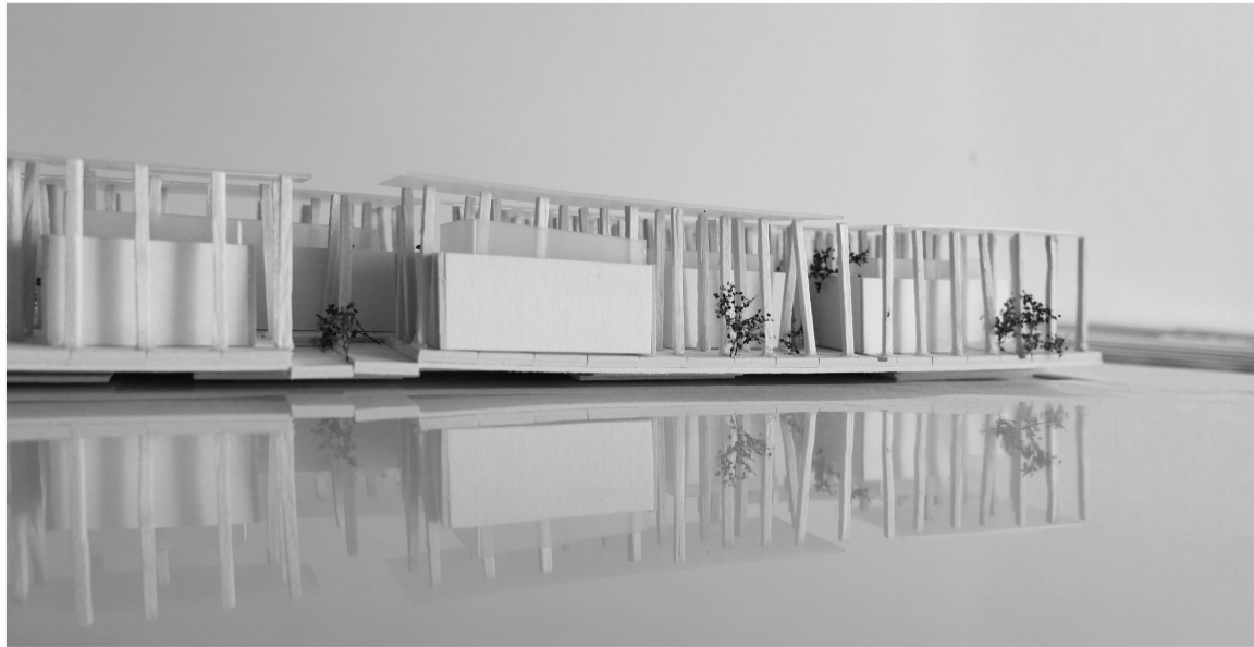 Reflections of Sustainability: A reflective view of the architectural model symbolizing harmony between built structures and the environment.