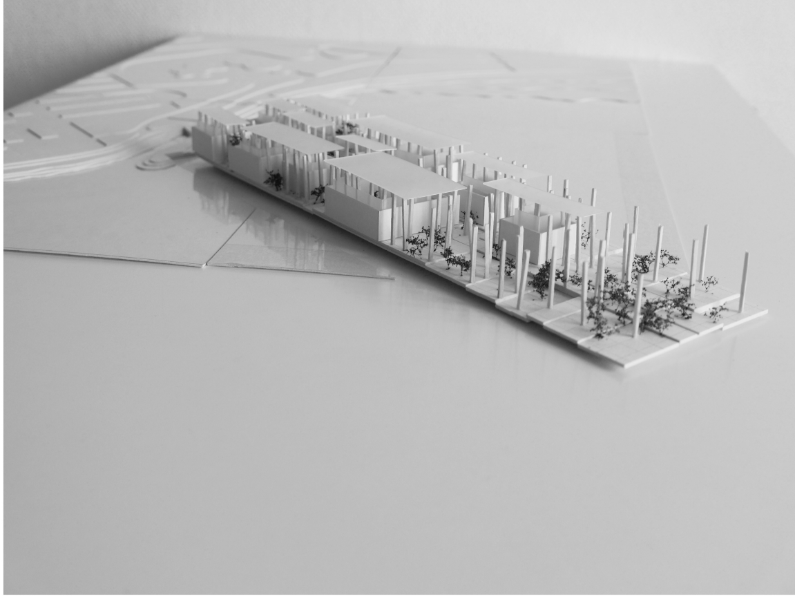 Architectural Model Overview: A detailed view of the Athenaeum model showcasing the integration of nature and minimalist structures.