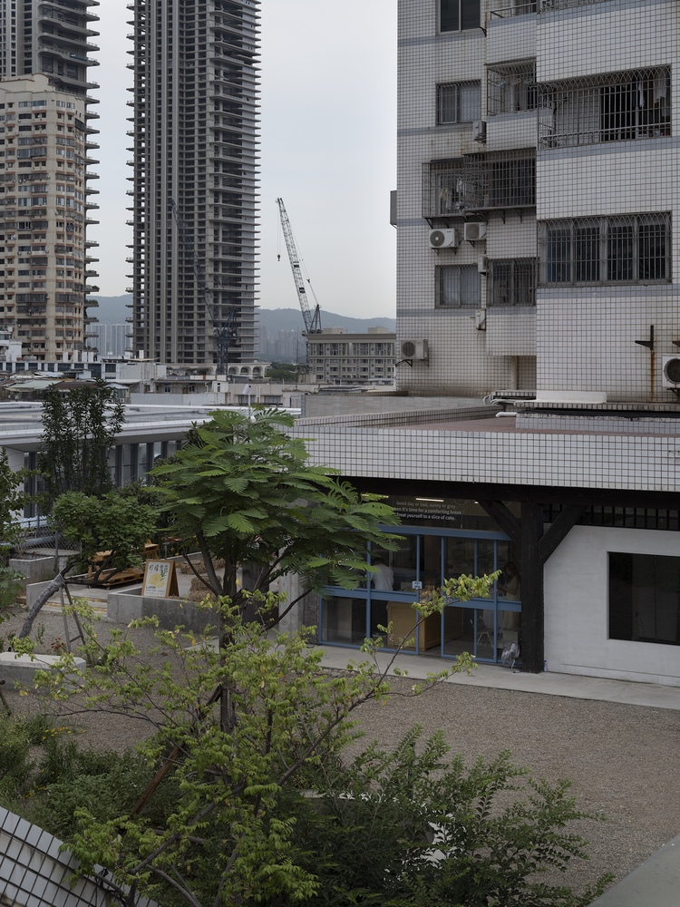 Rooftop garden with young trees and shrubs adjacent to white tiled overhang and residential towers beyond