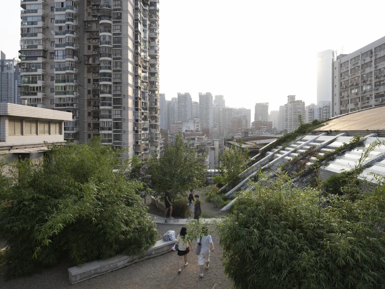 Rooftop garden with gravel pathways and planted terraces beneath residential tower blocks in hazy daylight