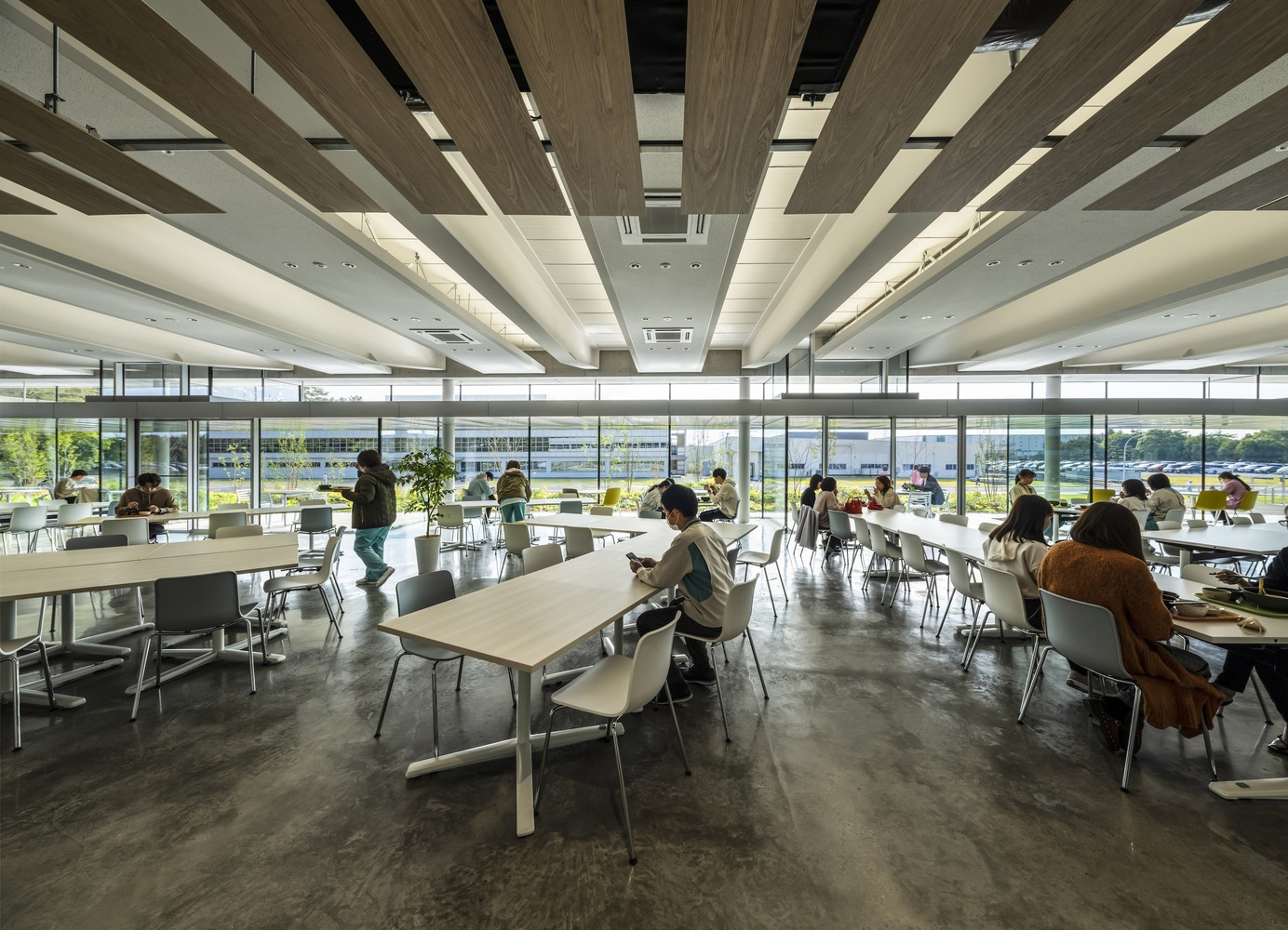 Cafeteria interior with alternating timber and white ceiling beams and people seated at tables by floor-to-ceiling windows