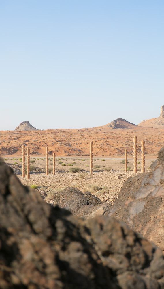 View across the rocky ground toward timber columns arranged in rows on the desert plain