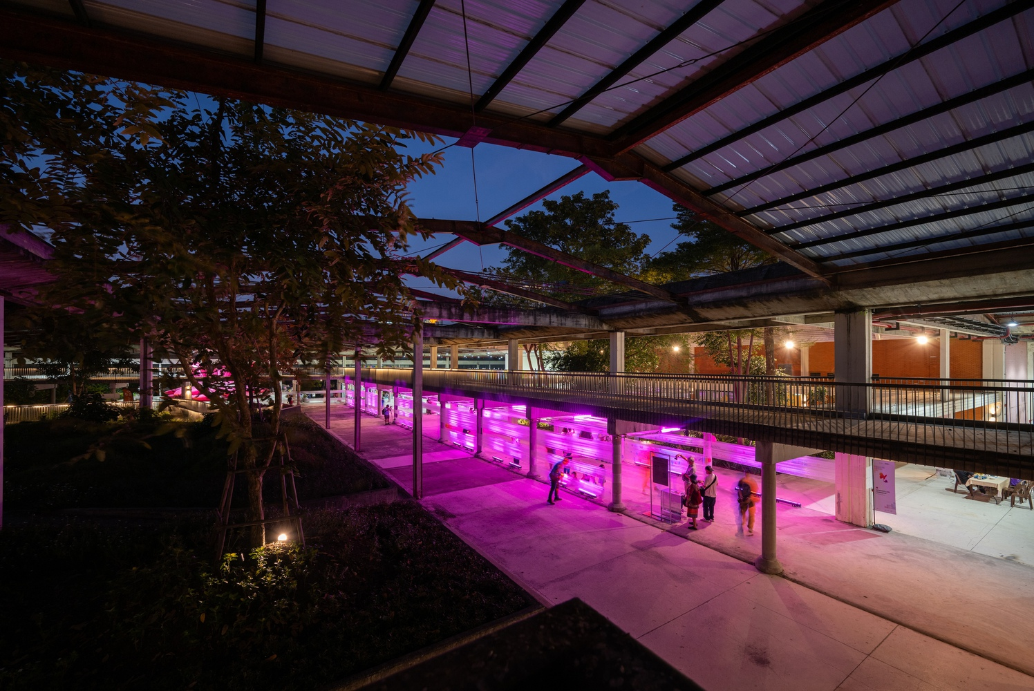 Evening view of the elevated walkway with purple lighting and planted trees under a corrugated metal canopy