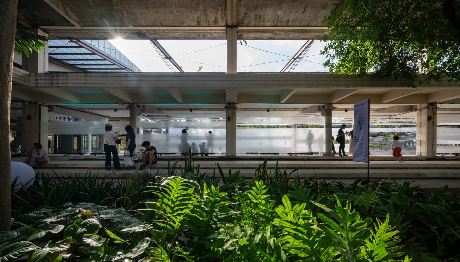 Open-air platform with concrete columns and skylights above planted beds with ferns and foliage
