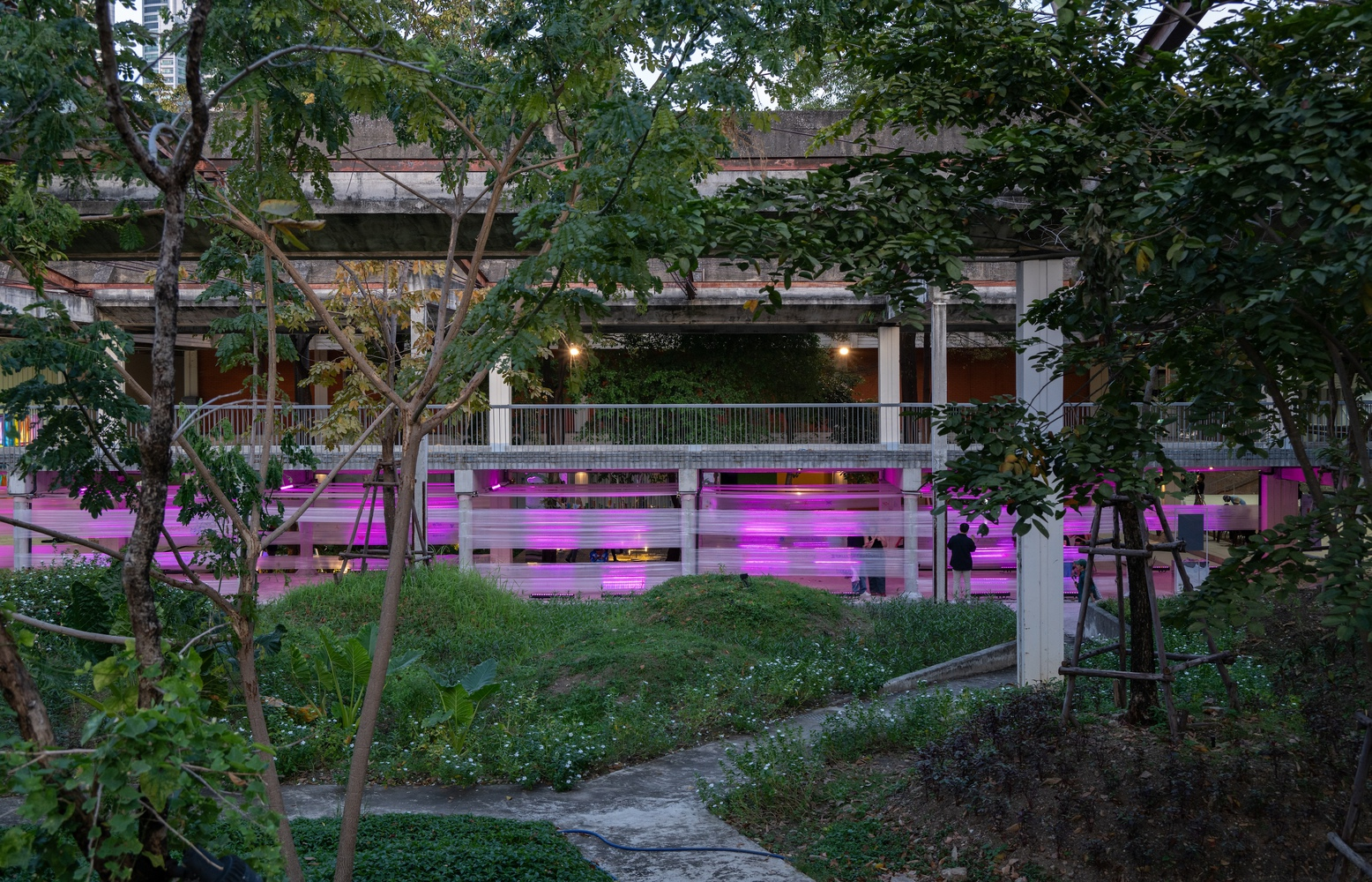 Magenta-lit horizontal screening panels beneath a concrete deck framed by trees at dusk