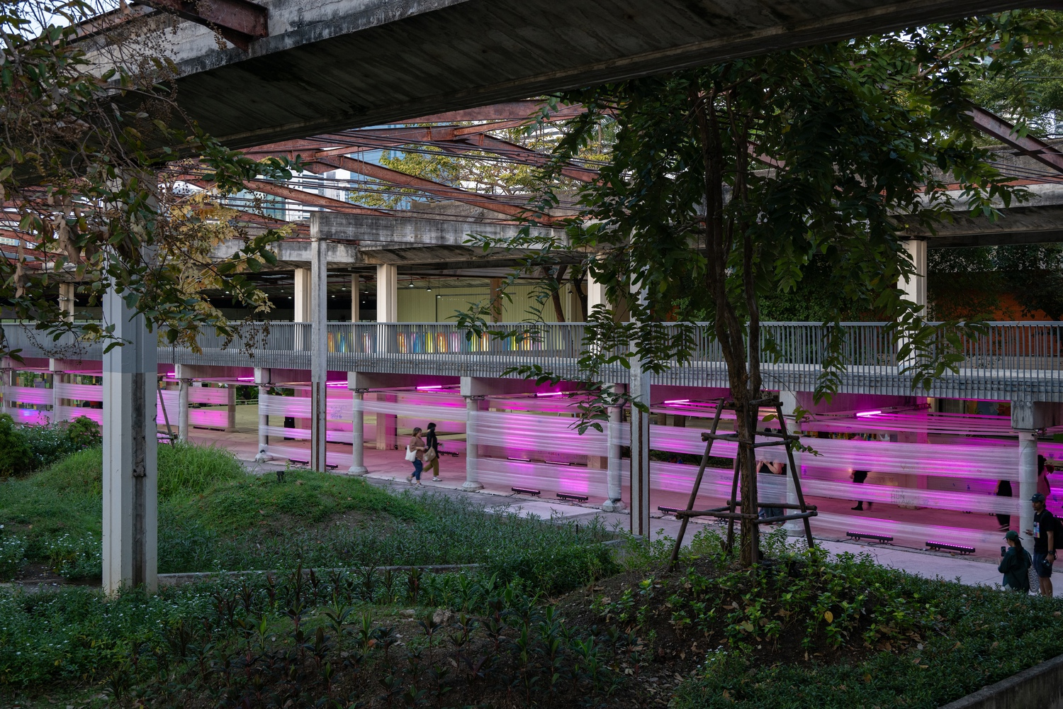 Magenta-lit horizontal screening panels with pedestrians passing beneath steel trusses and mature trees