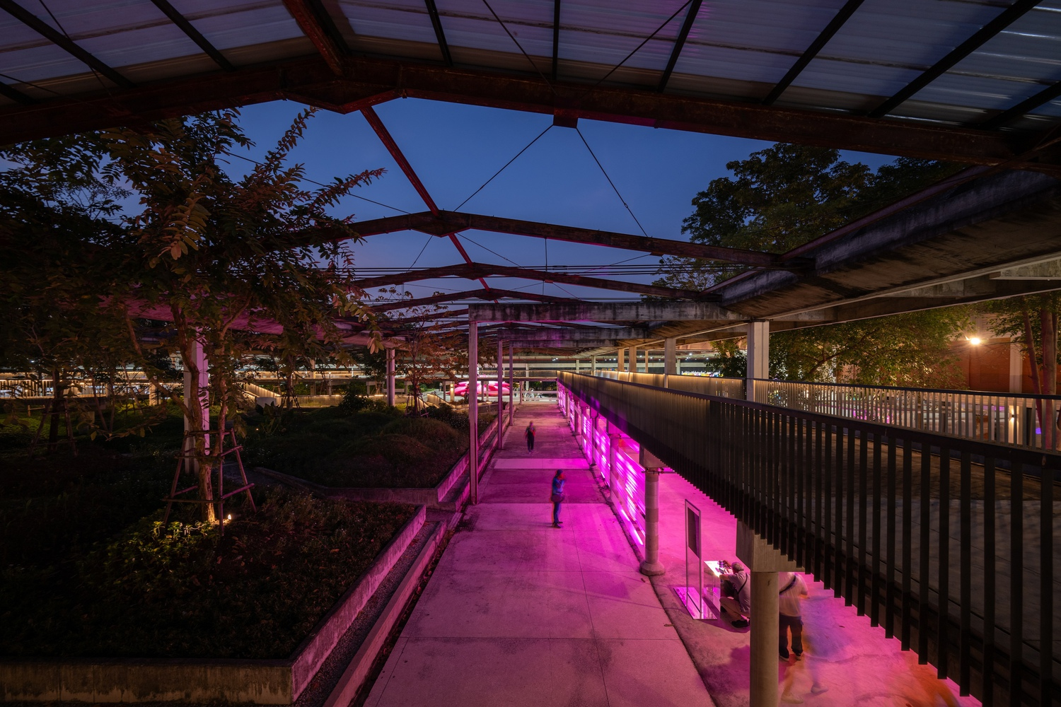 Elevated pathway with glazed canopy and pink LED-lit wall beside planted landscape beds at night