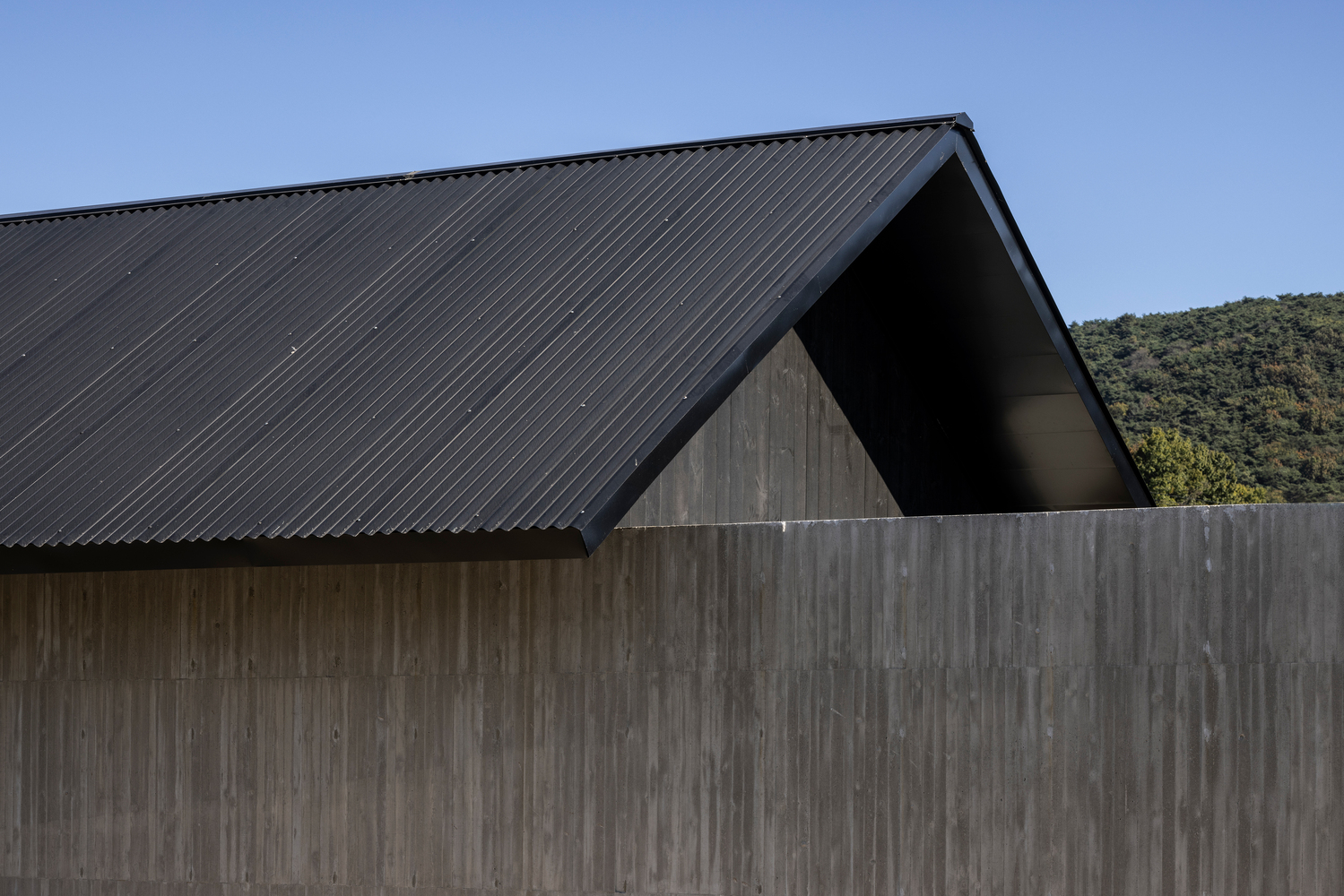 Gabled corrugated metal roof over weathered timber siding with forested hillside beyond under blue sky