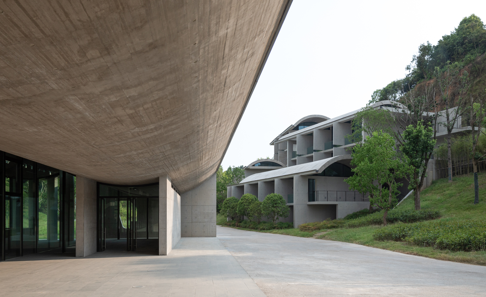 Sweeping concrete shell roof overhanging a glass entrance with vaulted pavilions stepping up the planted slope beyond