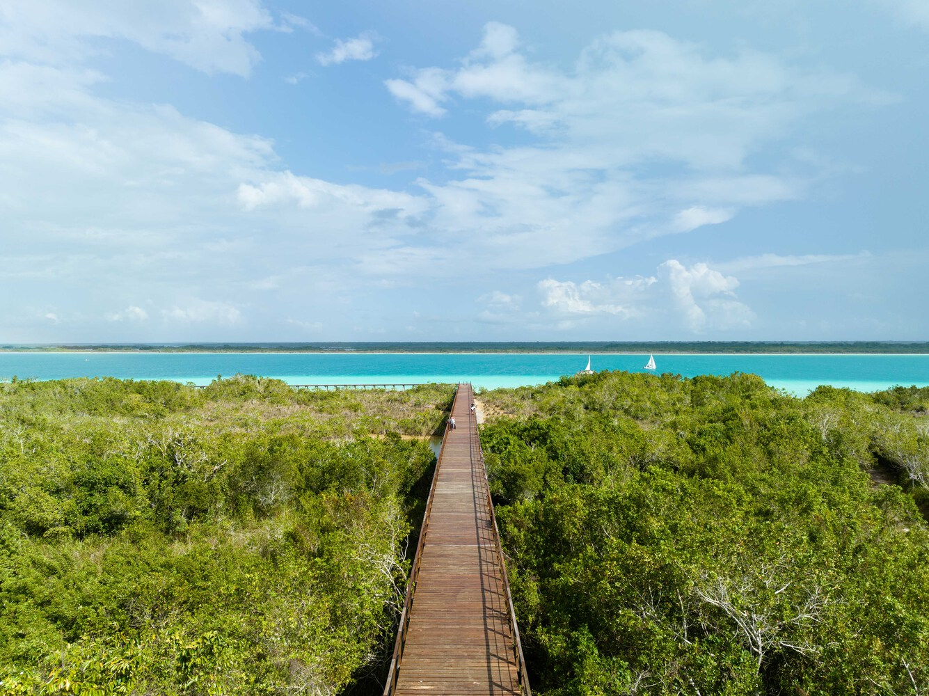 Linear timber walkway cutting through coastal scrubland toward turquoise ocean with sailboats on the horizon