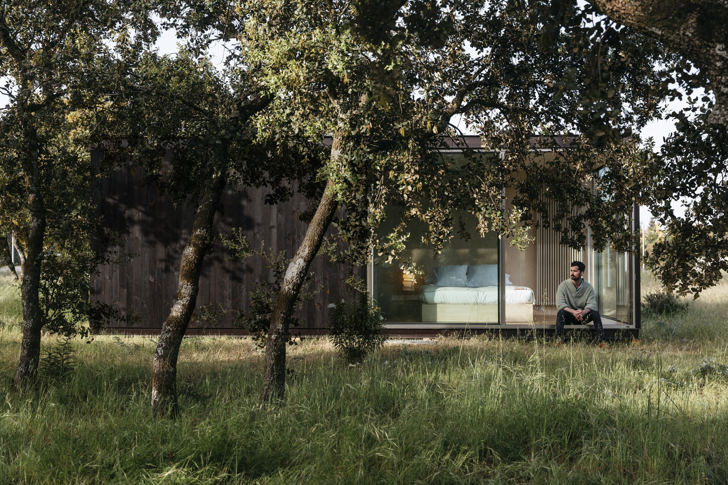 Glass-walled bedroom volume with person seated inside, framed by gnarled olive trees in meadow grass