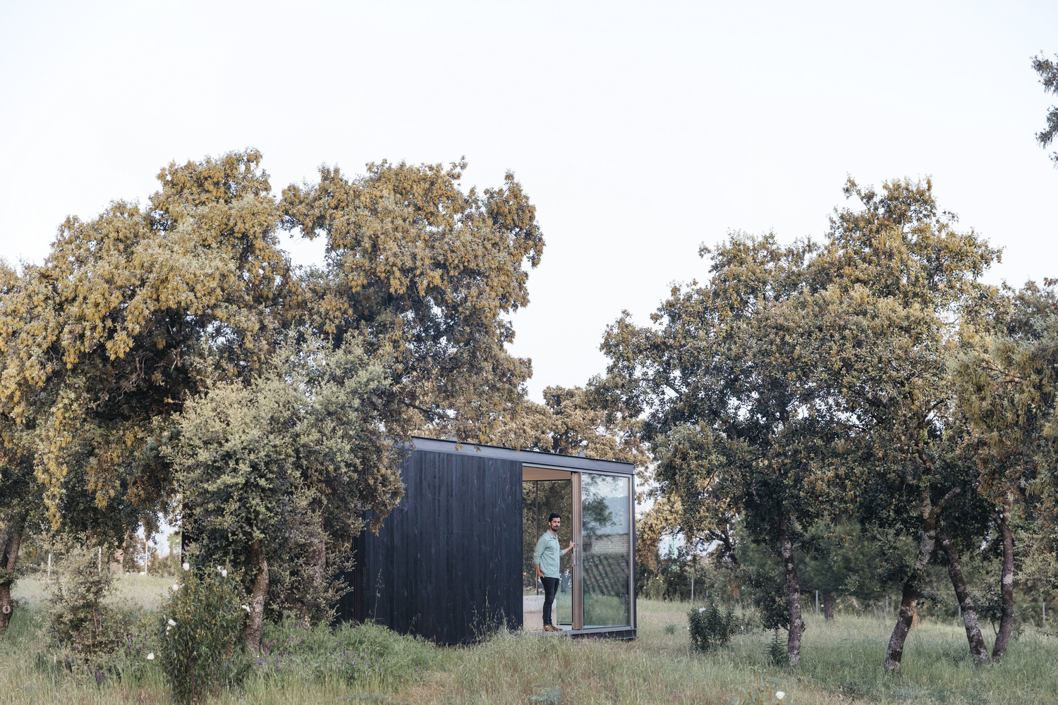 Charred timber-clad volume with glazed corner and figure in doorway among scattered oak trees