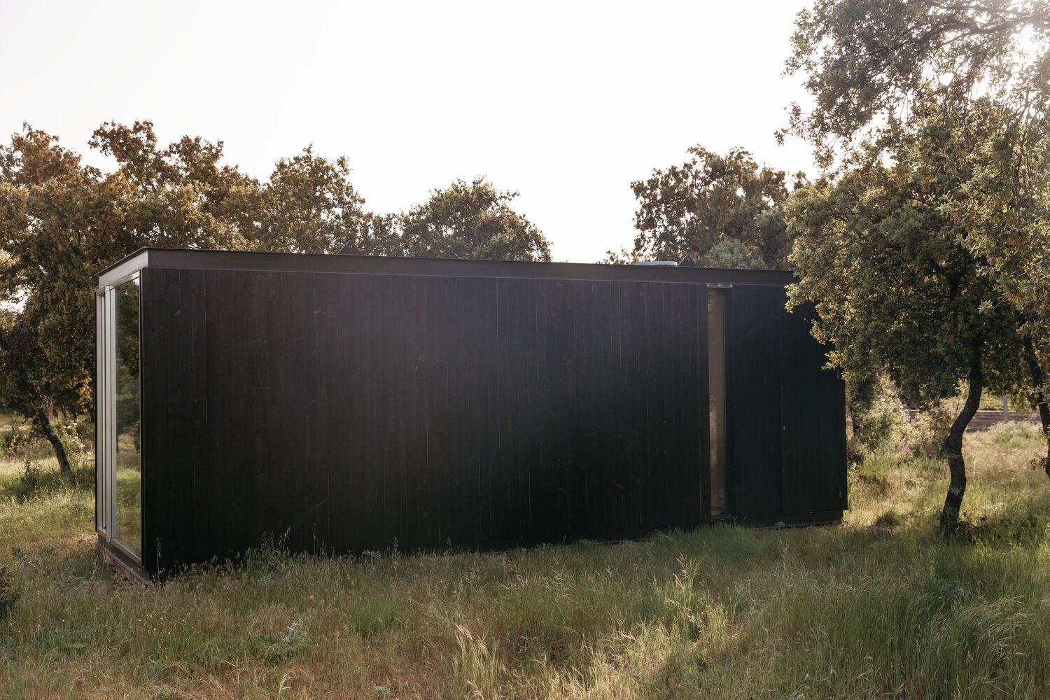 Long blackened wood facade with corner glazing and recessed doorway in golden afternoon light