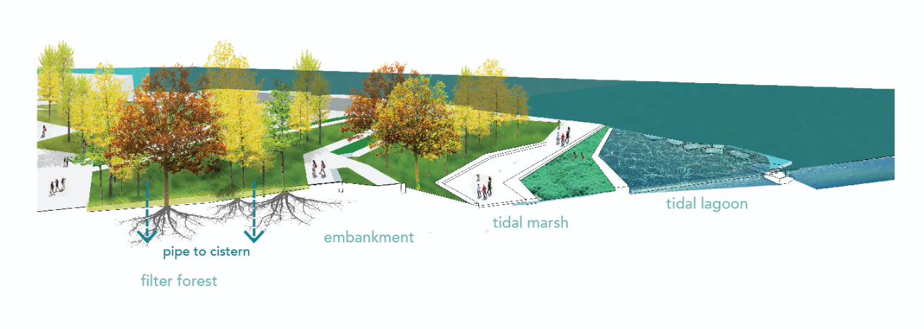 Tidal Marsh & Lagoon – Integrated water filtration and ecological restoration through urban design.