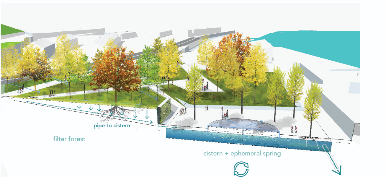 Filter Forest & Cistern – A self-sustaining water purification system in a native forest setting.