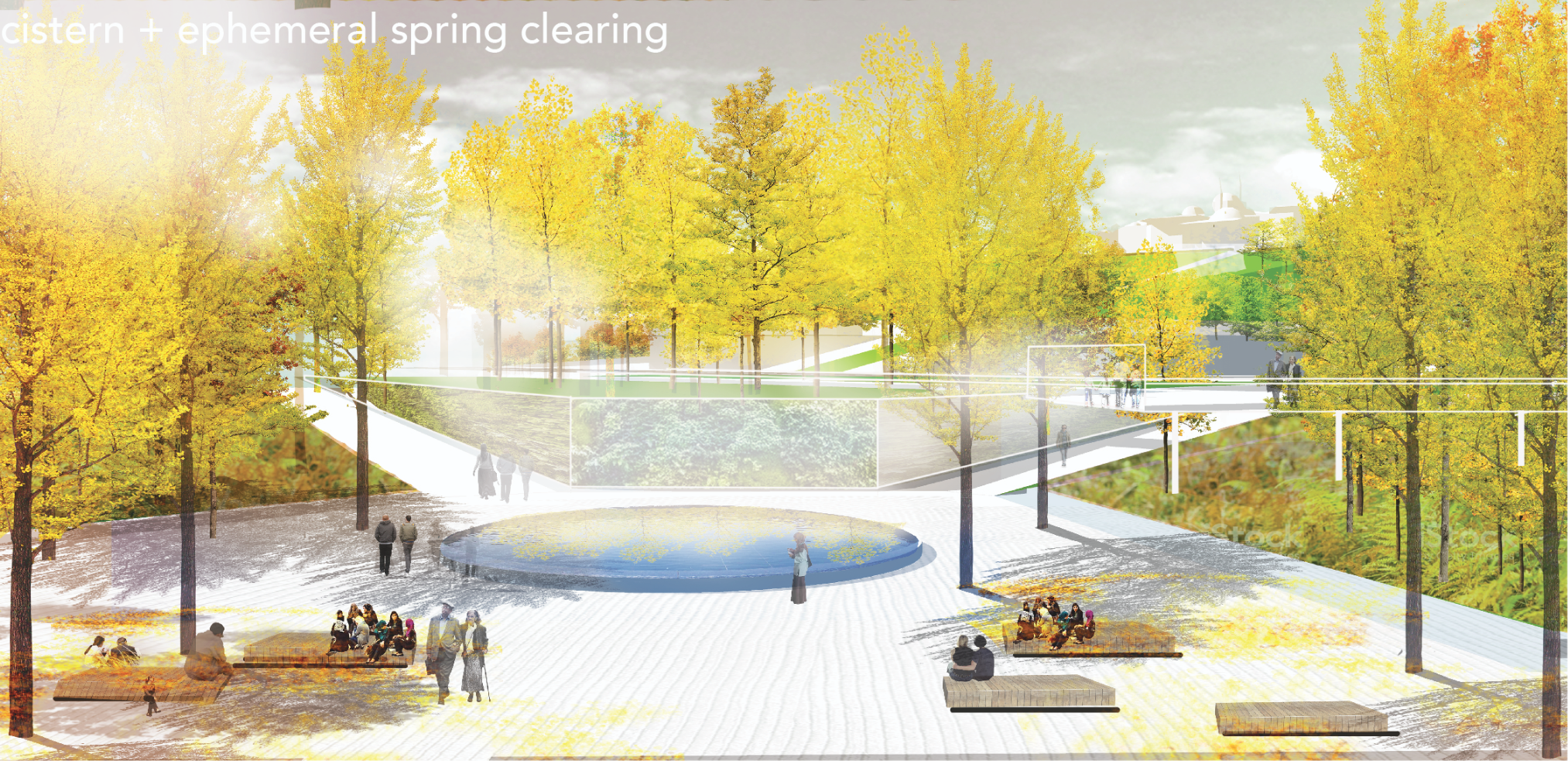 Cistern & Ephemeral Spring Clearing – A serene gathering space celebrating water conservation.