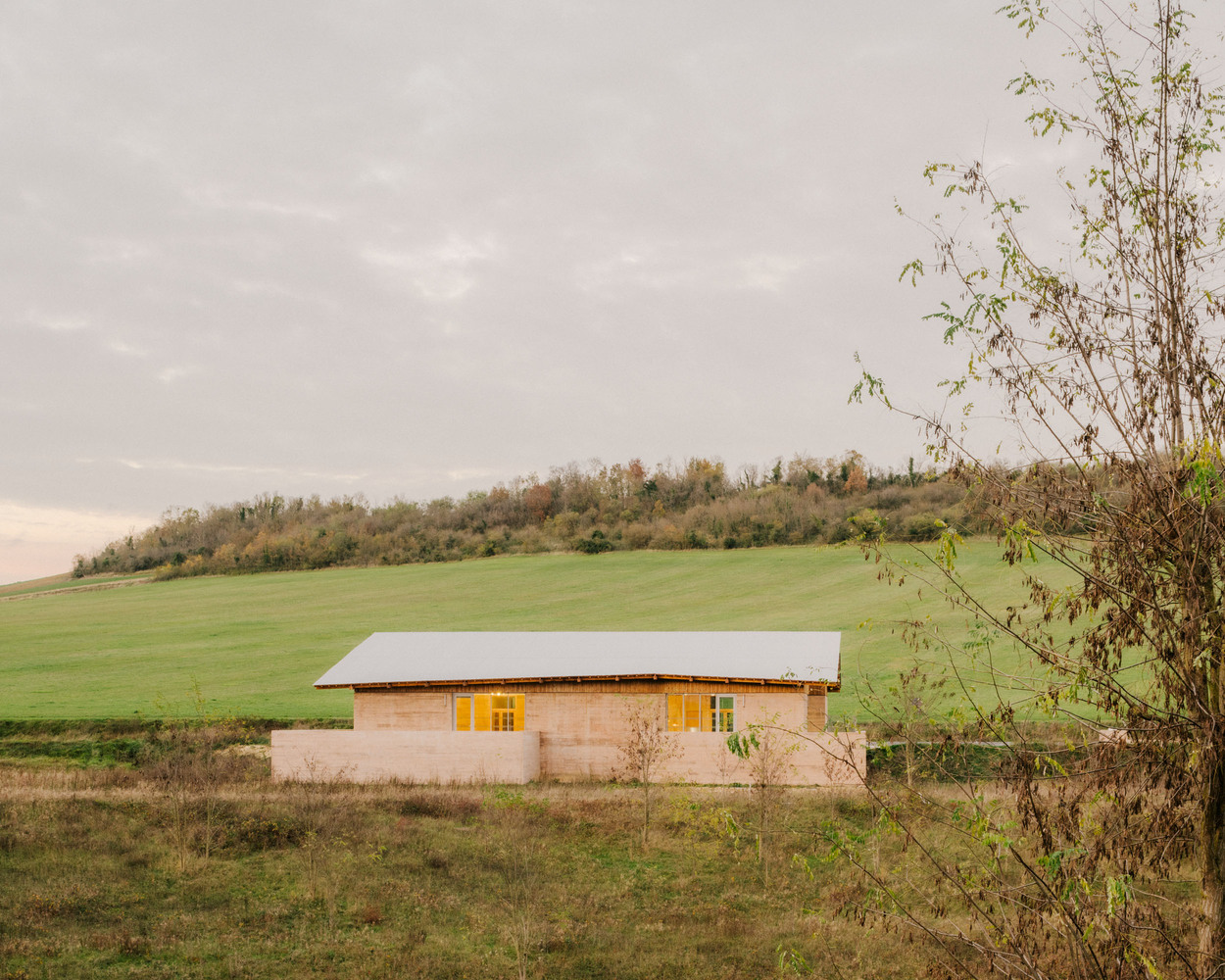 Low pavilion with metal roof in open grassland framed by foreground tree branches at dusk