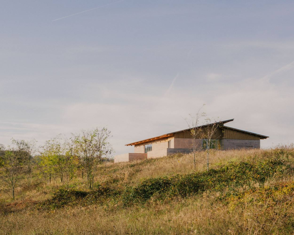 Low-pitched roof volume on a grassy hillside with scattered young trees at dusk