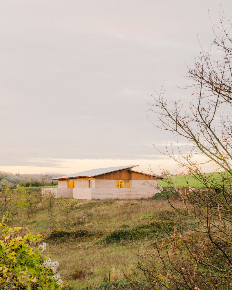 Hempcrete facade with glowing yellow windows framed by bare branches at twilight