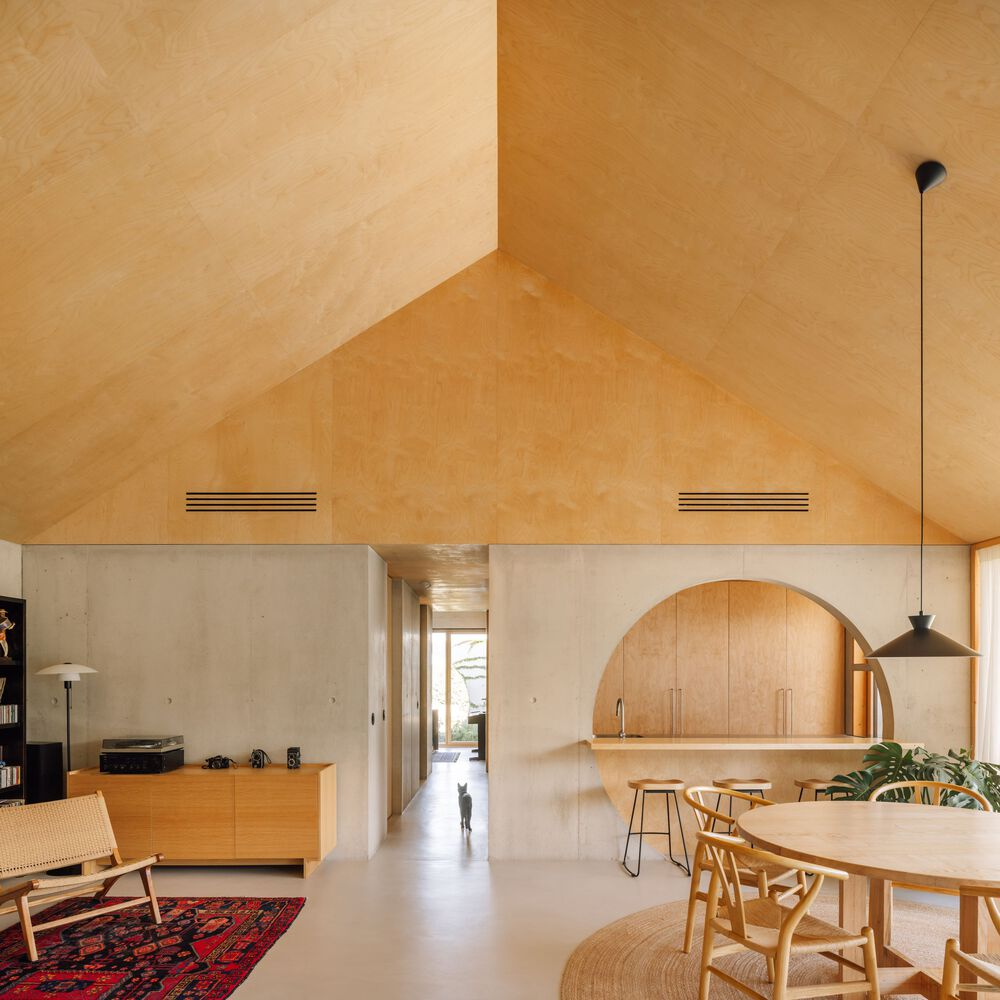 Open-plan living space with plywood vaulted ceiling, concrete walls, and arched kitchen niche