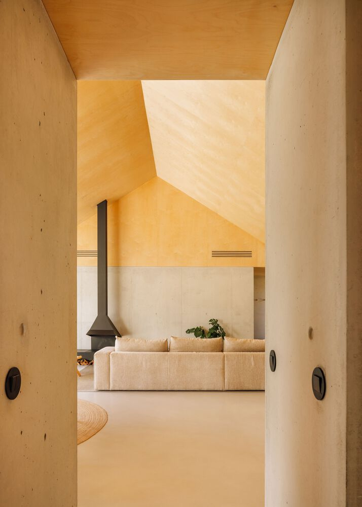 View through concrete portal framing the living space with fireplace under yellow plywood vaulted ceiling and indirect sunlight