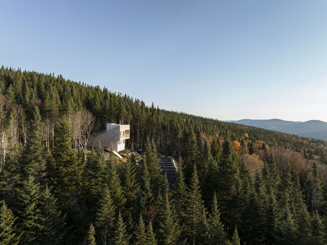 Aerial view of a cantilevered timber structure perched on a forested hillside in autumn