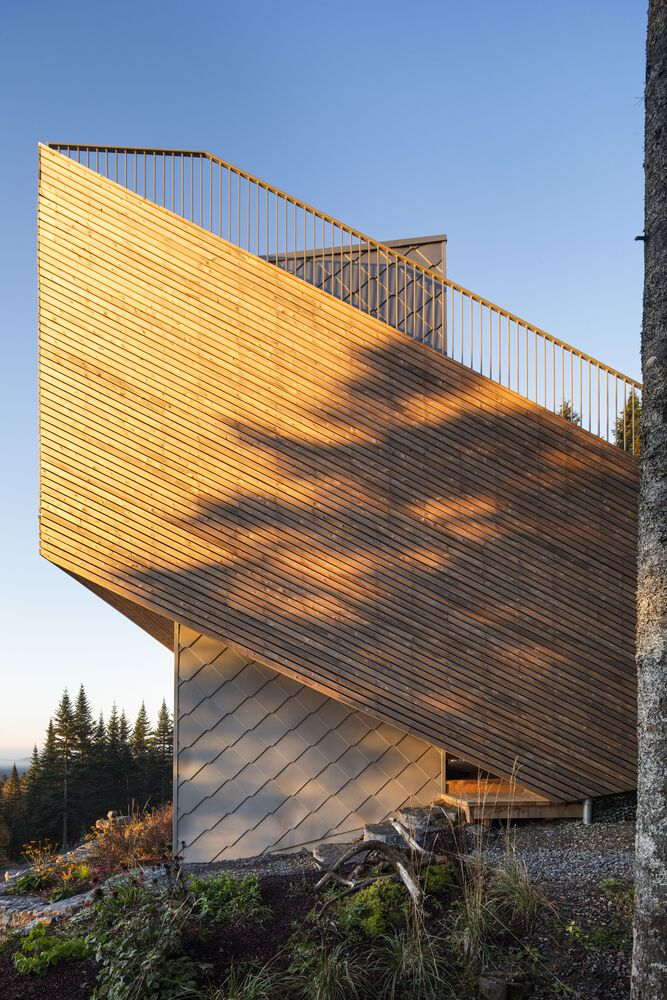 Cantilevered volume clad in horizontal wood slats glowing in late afternoon sunlight