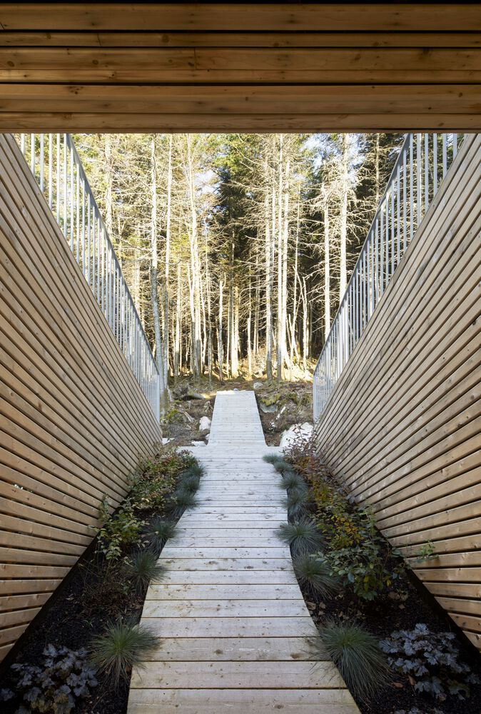 Timber-decked walkway framed by diagonal wood-slat walls leading toward a forest clearing