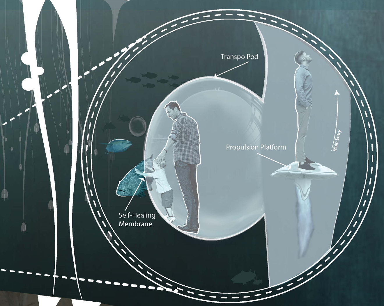 Transpo Pod Entry – Seamless underwater access with self-healing membrane technology.