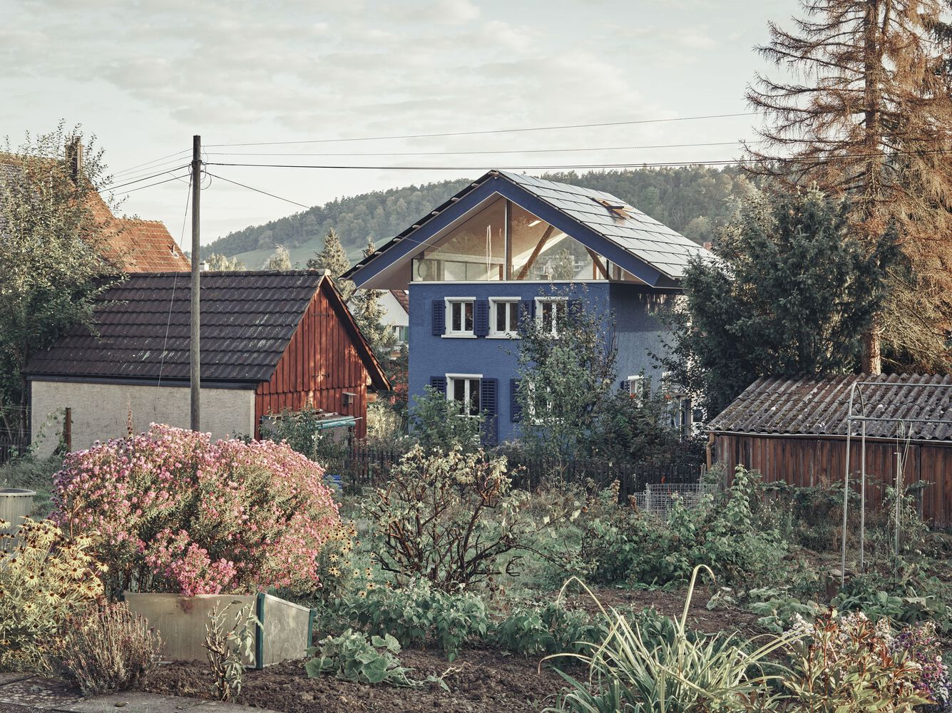 Blue rendered house with exposed timber gable and white shutters amid garden vegetation and neighboring structures