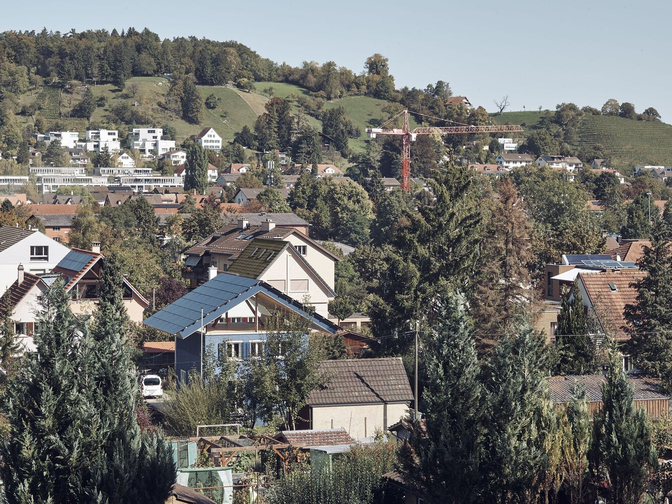 Rooftop view of the house nestled among trees in a hillside neighborhood under clear skies