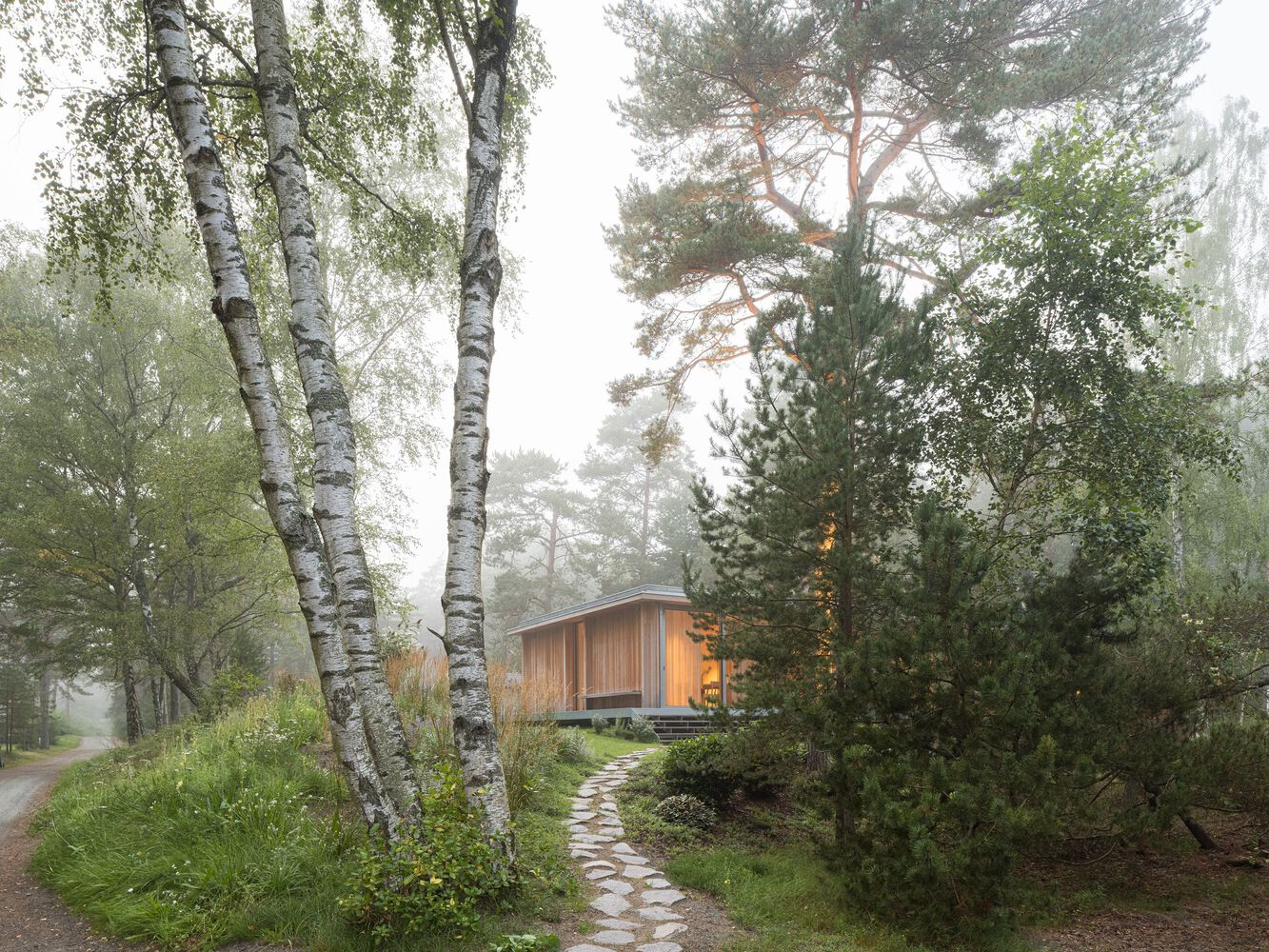 Timber pavilion glimpsed through birch trees and pines along a stone path in morning fog