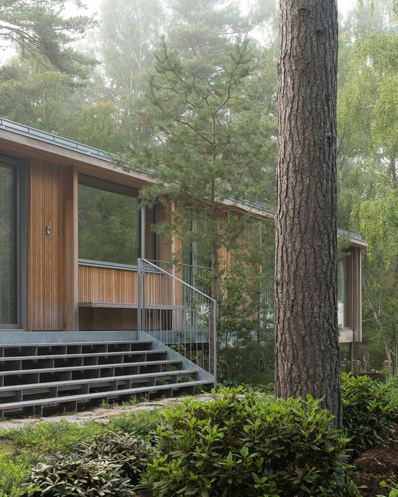 Timber facade with metal stair and railing nestled among mature pines in light mist