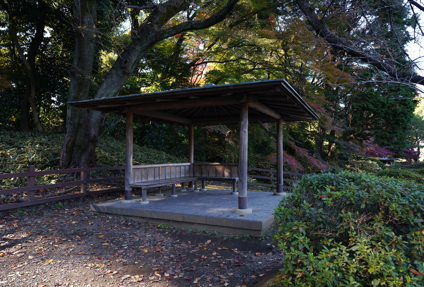 Timber shelter with pitched roof and benches on a concrete platform surrounded by fallen leaves