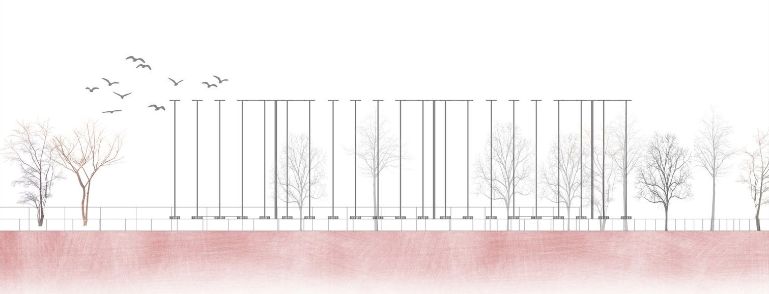 Minimalist Structural Elegance – A seamless blend of design and nature in urban settings