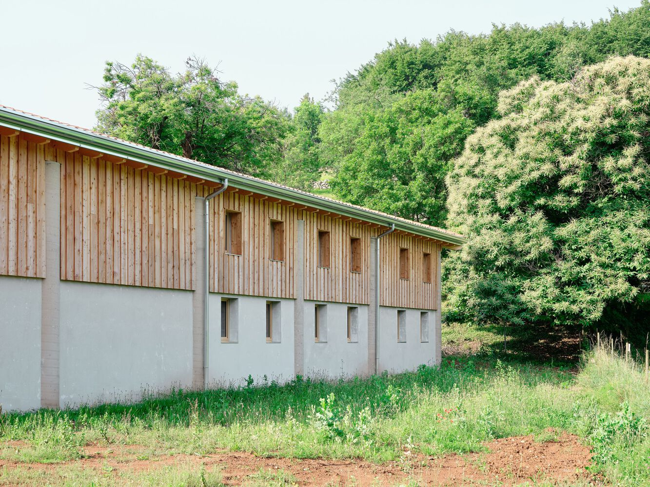 Facade detail showing vertical timber cladding above concrete base with regular window openings backed by trees